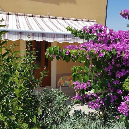 Apartman Mi نيغيزيني المظهر الخارجي الصورة