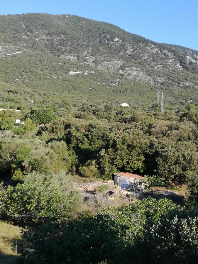 Apartman Mi نيغيزيني المظهر الخارجي الصورة