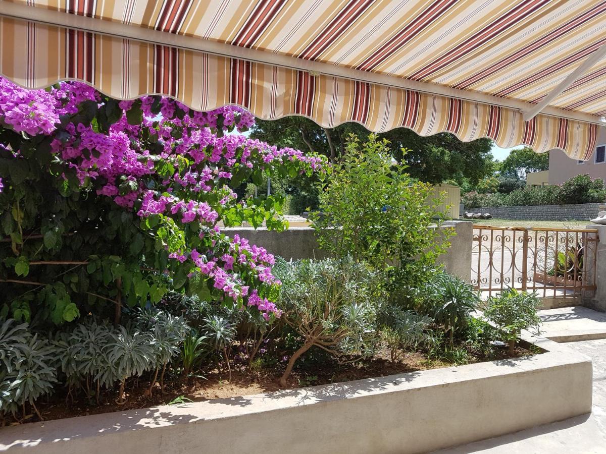 Apartman Mi نيغيزيني المظهر الخارجي الصورة