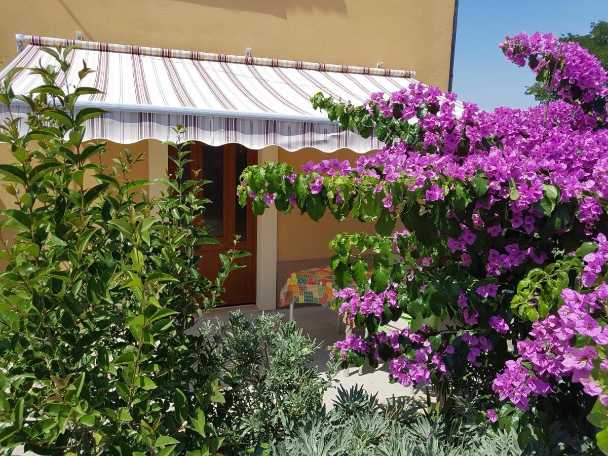 Apartman Mi نيغيزيني المظهر الخارجي الصورة